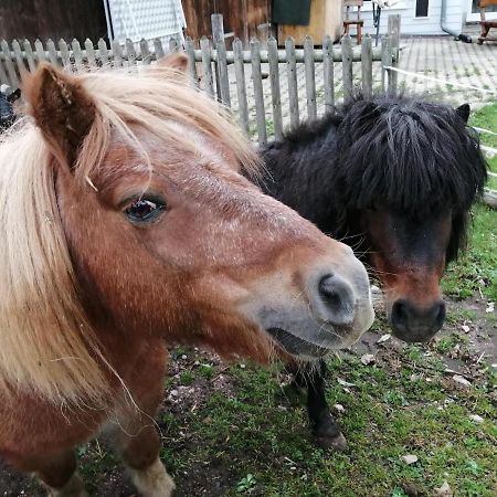 라우터바흐 Urlaub An Der Grenze 아파트 외부 사진